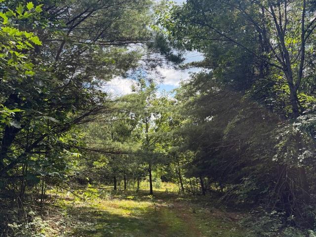 Land for sale in Berne, New York