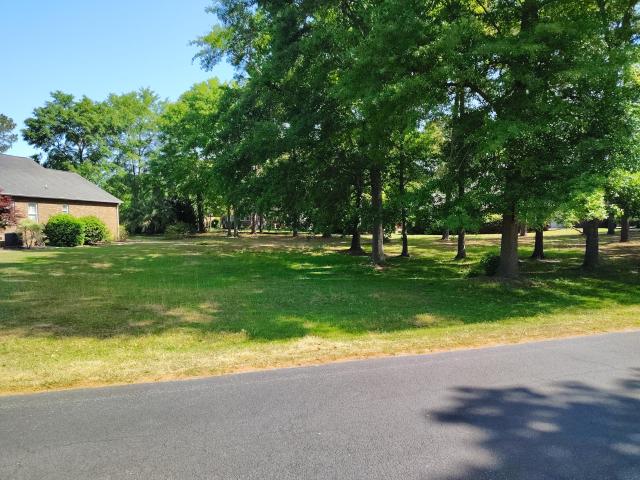 Land for sale in Manning, South Carolina