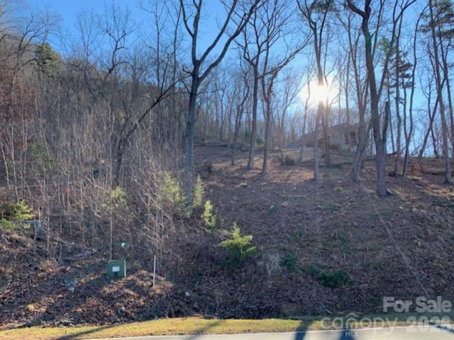 Land for sale in Rutherford, North Carolina