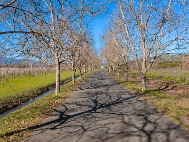 Land for sale in Saint Helena, California