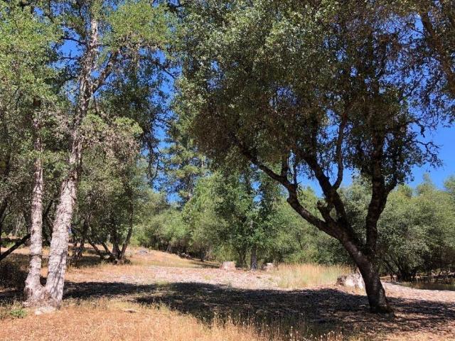 Land for sale in Sonora, California