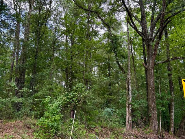Land for sale in Summit, Mississippi