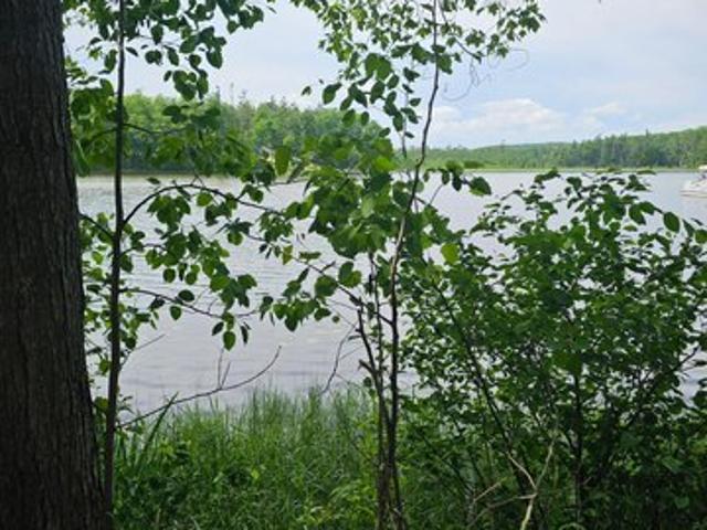 Land for sale in Mio, Michigan