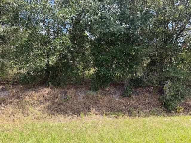 Land for sale in Okeechobee, Florida