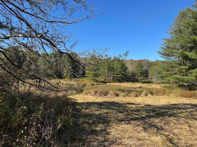 Land for sale in Harpursville, New York