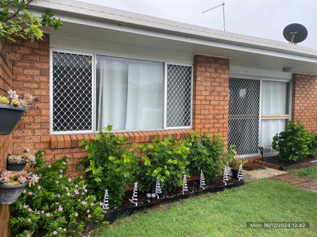 House for rent in Kings Creek, Queensland