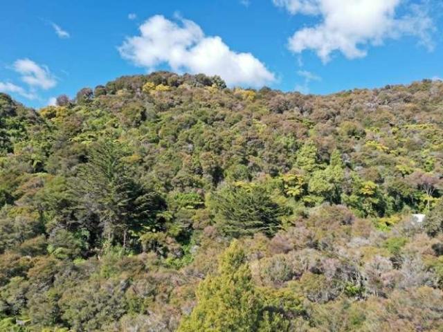 Property for sale in Collingwood, Tasman