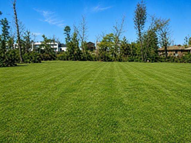 Land for sale in Polk, Texas