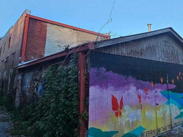 Commercial for sale in Carbondale, Illinois