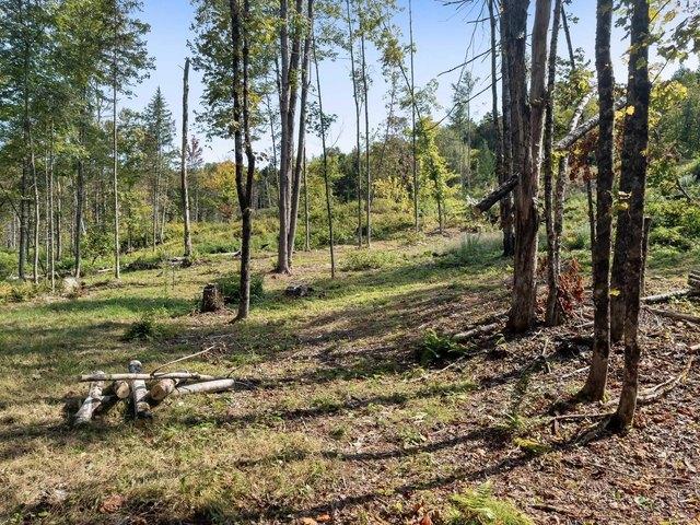 Land for sale in Craftsbury, Vermont