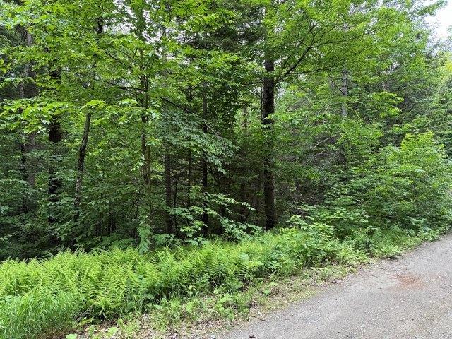 Land for sale in Calais, Vermont