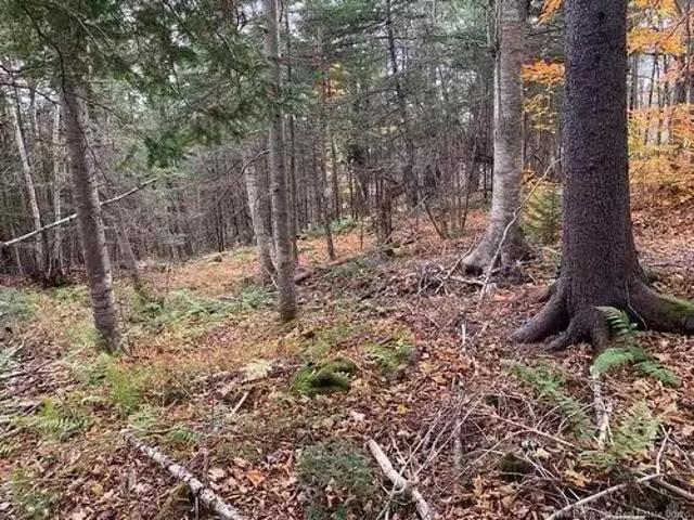 House for sale in Kingston, New Brunswick