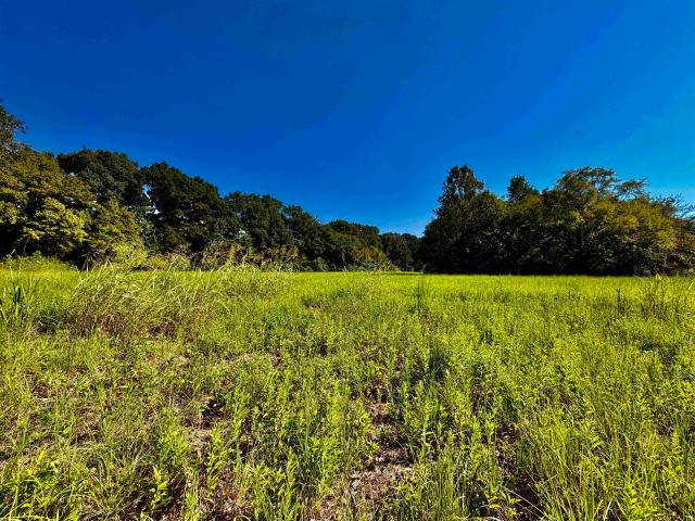Land for sale in Oakland, West Tennessee