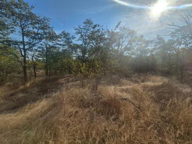 Land for sale in Phalaborwa, Ba-Phalaborwa Local Municipality