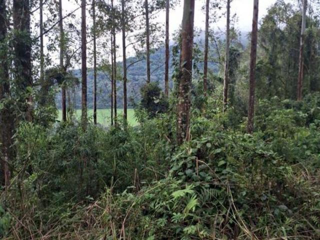 Sítio e chácara venda em Região Geográfica Imediata de Encantado, Doutor Ricardo