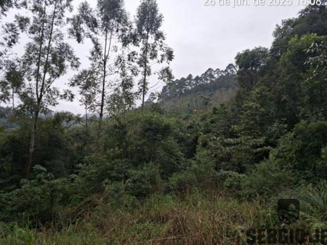 Sítio e chácara venda em Região Geográfica Imediata de Encantado, Doutor Ricardo