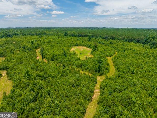 Land for sale in Madison, Georgia