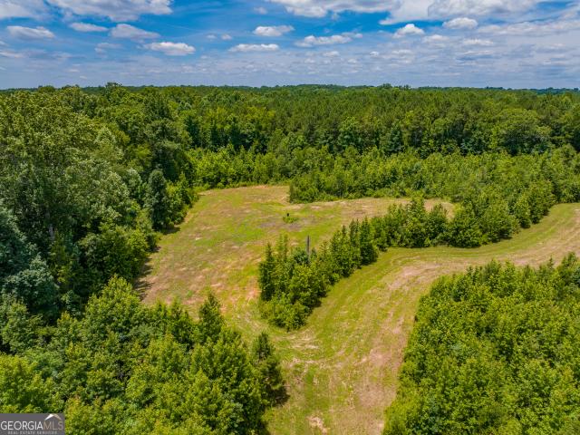 Land for sale in Madison, Georgia