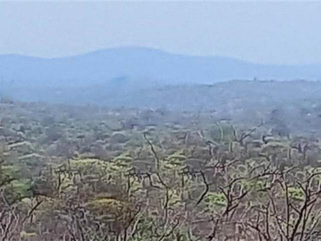 Farm for sale in Messina, Limpopo