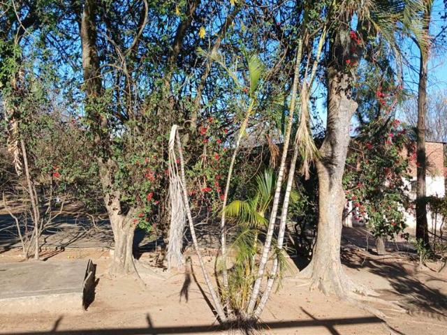 Farm for sale in Mopani, Limpopo