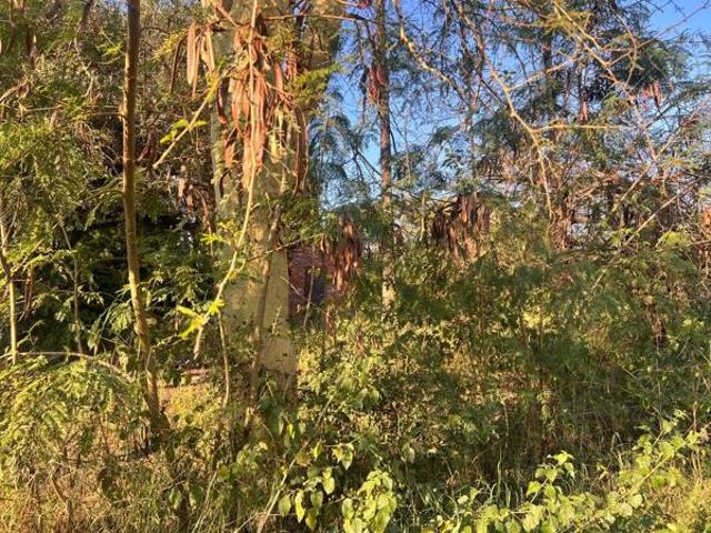 Land for rent in Vhembe, Limpopo