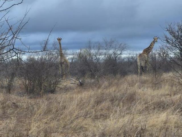 Land for sale in Mopani, Limpopo