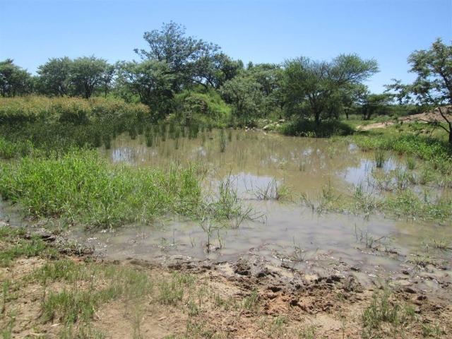 Land for sale in Seshego, Limpopo