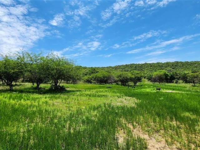 Farm for sale in Limpopo