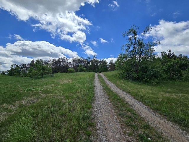 Land for sale in Johannesburg, Michigan