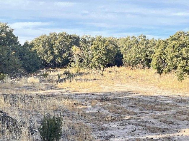Land for sale in Boulevard, California