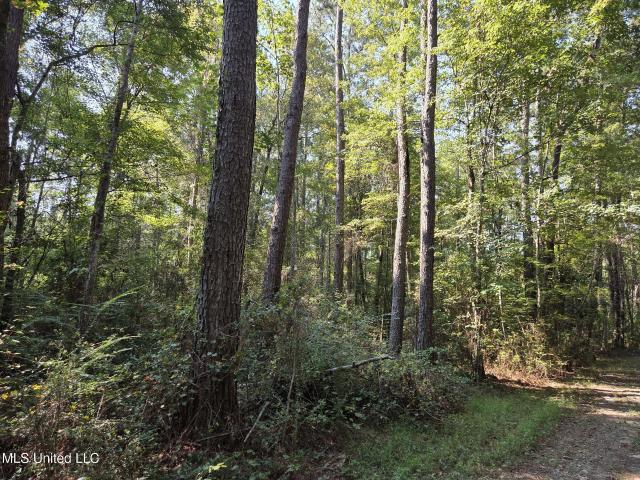 Land for sale in Poplarville, Mississippi