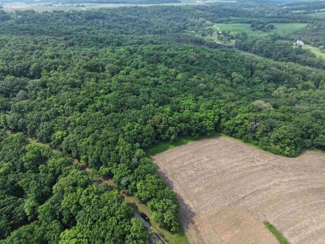 Land for sale in Cross Plains, Wisconsin