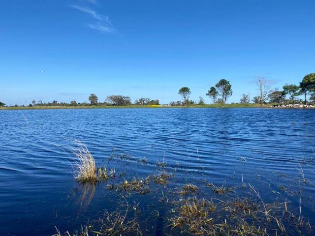 Farm for sale in Eastern Cape
