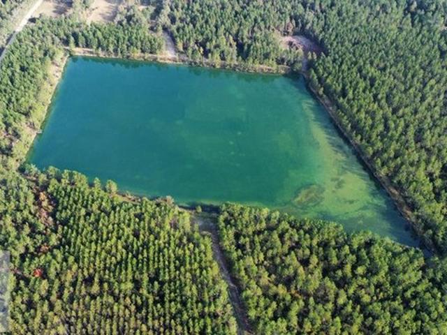 Land for sale in Odum, Georgia