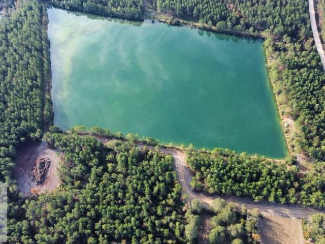 Land for sale in Odum, Georgia