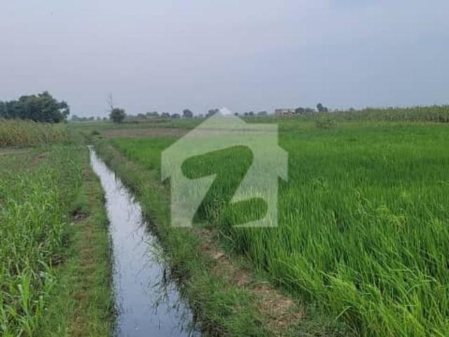 Land for sale in بہاولنگر, بہاولپور ڈویژن