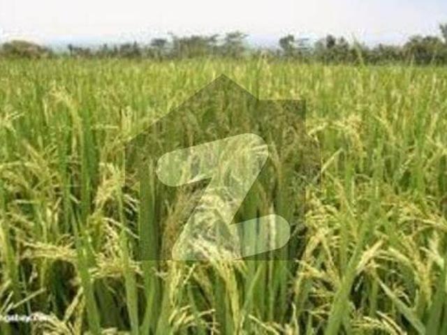 Land for sale in Kasur, Islamabad Capital Territory