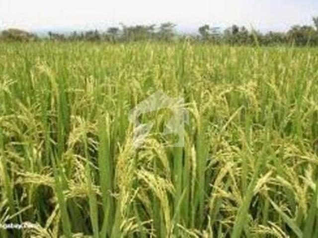 Land for sale in Kasur, Islamabad Capital Territory