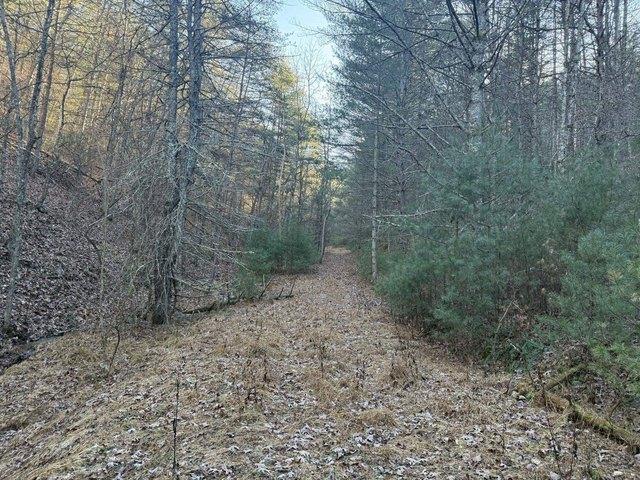 Land for sale in West Virginia