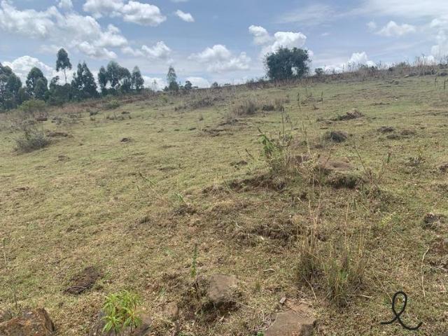 Land for sale in Laikipia
