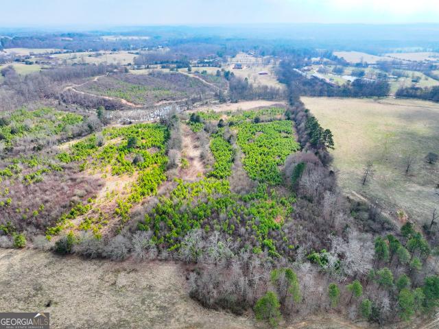 Land for sale in Gordon, Georgia