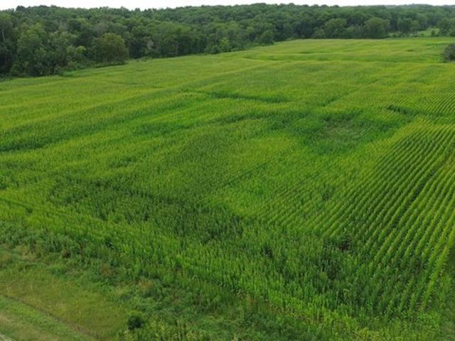 Farm for sale in Davis, Iowa