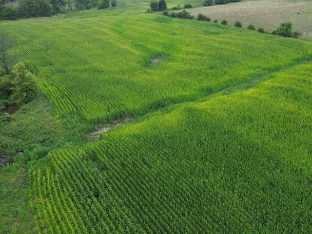 Farm for sale in Davis, Iowa