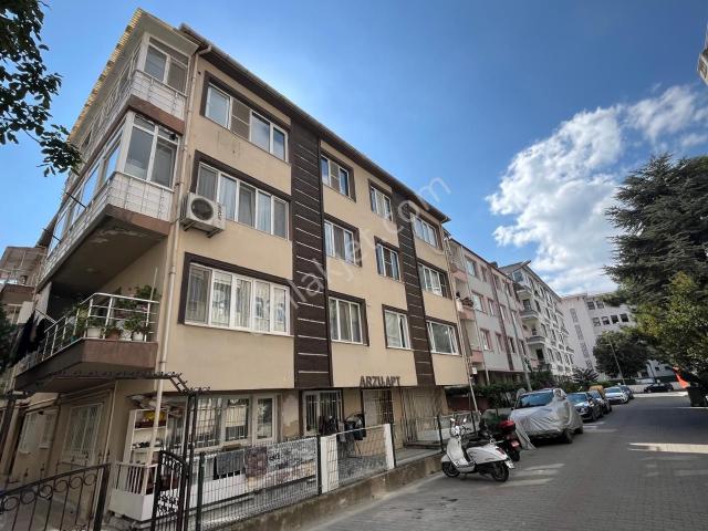 Yalova Merkez, Yalova içerisinde kiralık mülk