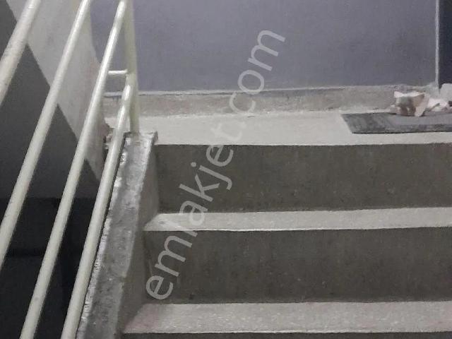 Cuma Mahallesi, Efeler içerisinde kiralık mülk