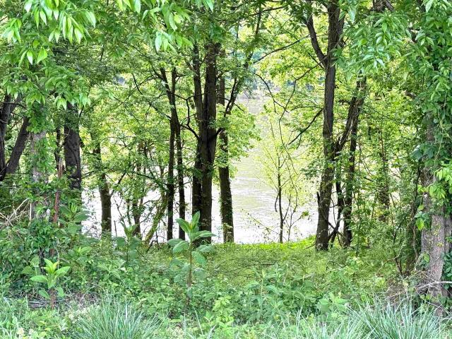 Land for sale in Ark