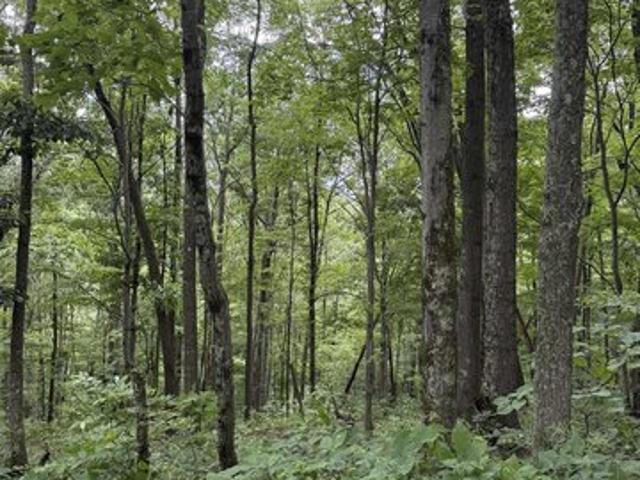 Land for sale in Mannington, West Virginia
