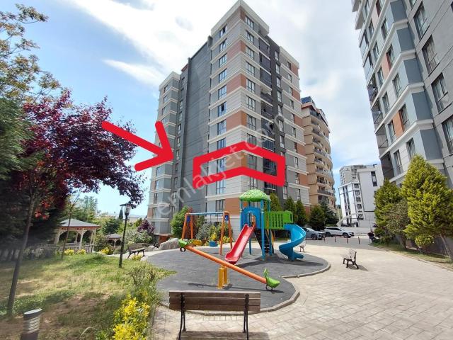 Tuzla, İstanbul içerisinde kiralık mülk