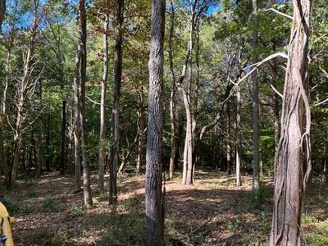 Land for sale in Tennessee