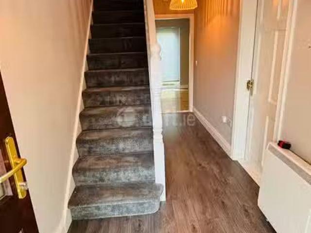 House to rent